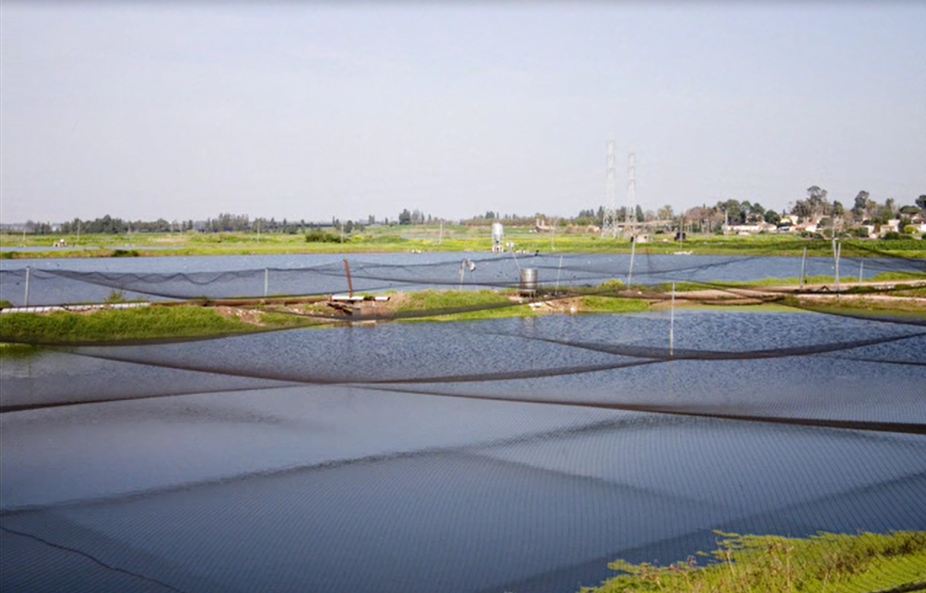 Visit Kibbutz Mishmar Hasharon