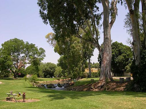 Visit Kibbutz Dafna