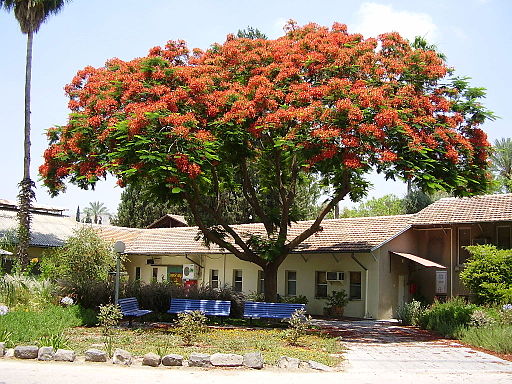 Visit Kibbutz Degania Alef