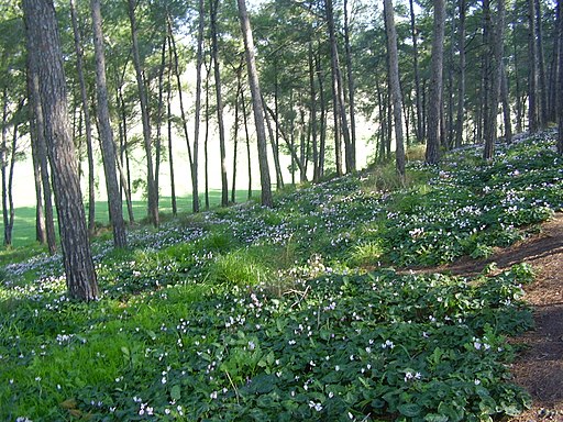 Visit Kibbutz Galed