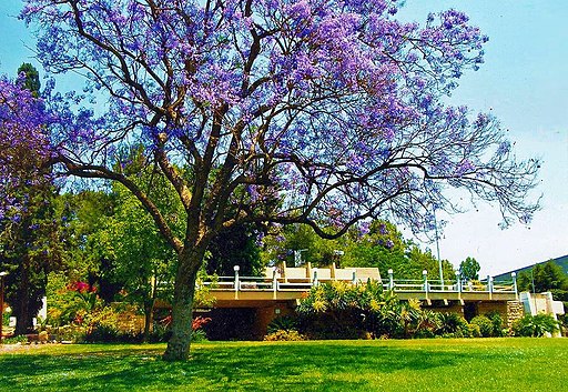 Visit Kibbutz Hatzor