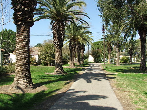 Visit Kibbutz Kfar Masaryk