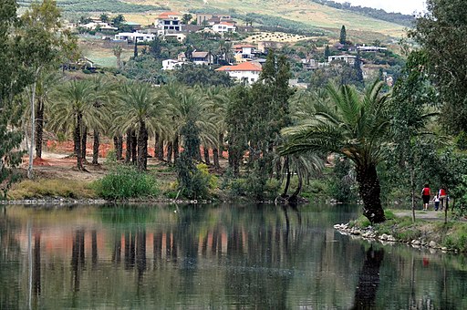 Visit Kibbutz Kinneret