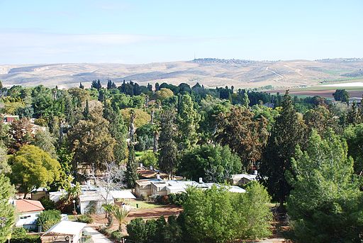 Visit Kibbutz Lahav | Kibbutz Tour in Israel