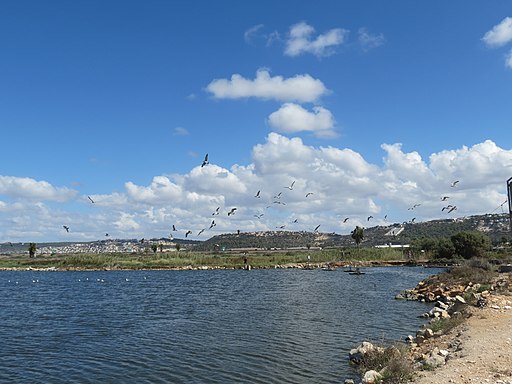 Visit Kibbutz Maayan Tzvi