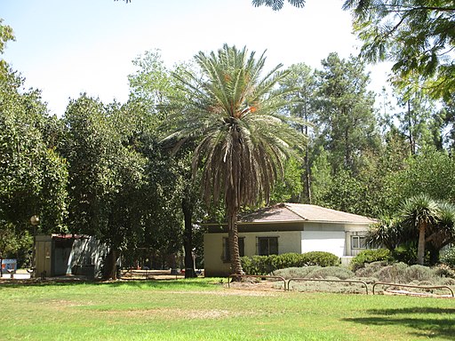 Visit Kibbutz Mizra