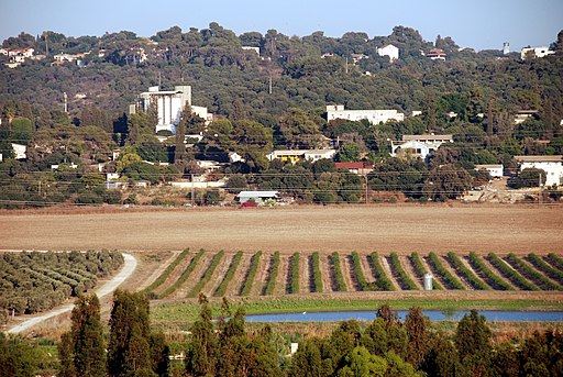 Visit Kibbutz Shaar Haamakim