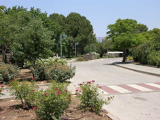 קיבוץ שניר