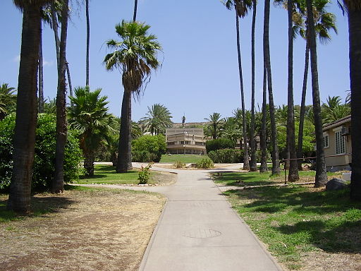 Visit Kibbutz Tel Yosef