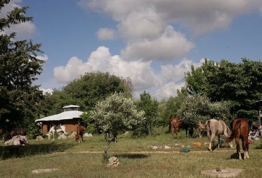 Visit Kibbutz Tzivon