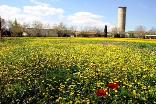 Visit Kibbutz Yiron