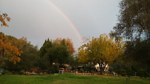 Visit Kibbutz Beit Guvrin | Kibbutz Tour in Israel