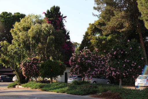 ביקור בקיבוץ ברור חיל | סיור בקיבוץ