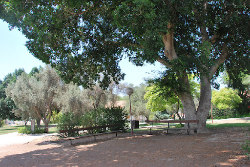 Visit Kibbutz Ein Tzurim | Kibbutz Tour in Israel