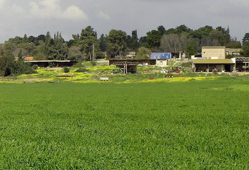 ביקור בקיבוץ גלאון | סיור בקיבוץ