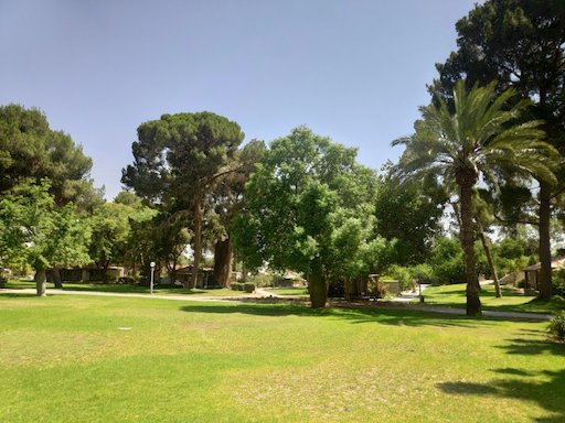 Visit Kibbutz Hatzerim | Kibbutz Tour in Israel