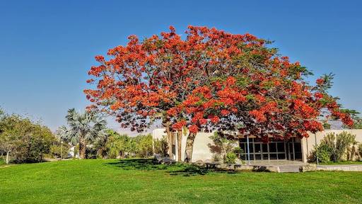 Visit Kibbutz Ketura | Kibbutz Tour in Israel