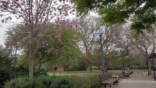 ביקור בקיבוץ שדה בוקר | סיור בקיבוץ