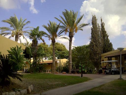 Visit Kibbutz Sde Yoav | Kibbutz Tour in Israel