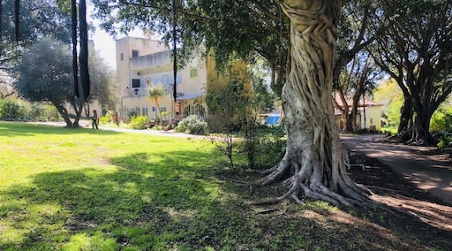 A Complete List of All the Kibbutzim in Israel
