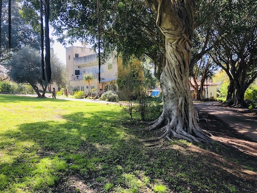 A list of all the kibbutzim in Israel