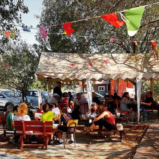 Visit Hamsa Hummus on Kibbutz Shaar Haamakim