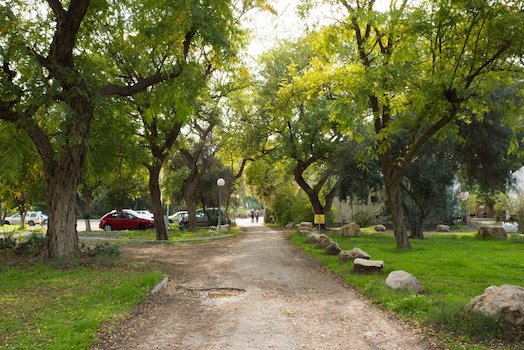 מרכז בקעת הירדן בכפר רופין - אירוח וצפרות