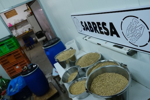 Visit the Sabresa Boutique Brewery on Kibbutz Ein Hashlosha