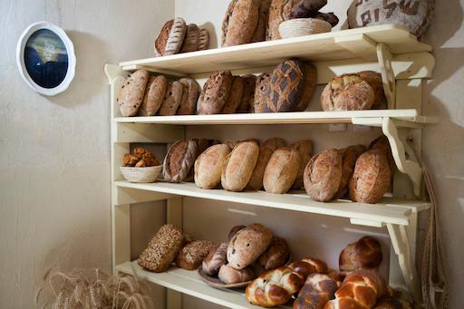 Visit the Bread Tenne Baker on Kibbutz Gesher Haziv
