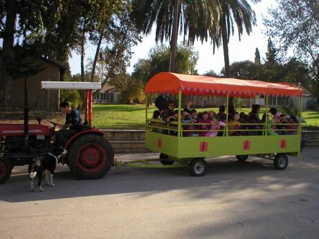 Petting Zoo on Kibbutz Givat Haim Ihud