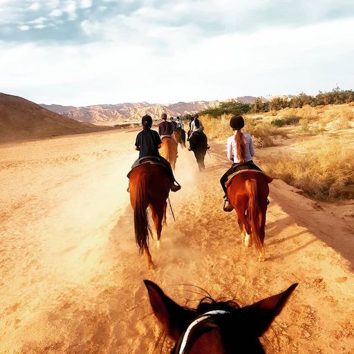 Kibbutz Grofit Horseback Riding