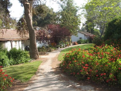 Botanic Garden on Kibbutz Nir Oz