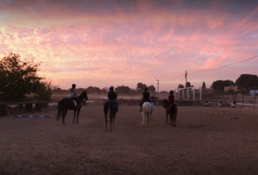 Kibbutz Revivim Stable