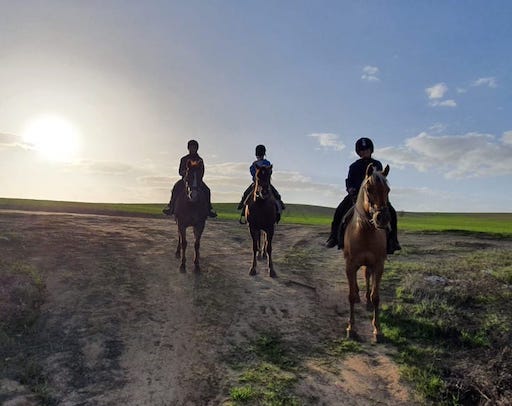 Horse Stable on Kibbutz Kramim