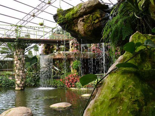 Utopia Park | Orchids, Tropical Rainforest and Attractions | Kibbutz Bahan