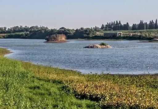 Agmon Heffer Nature Reserve | Kibbutz Ein Hahoresh