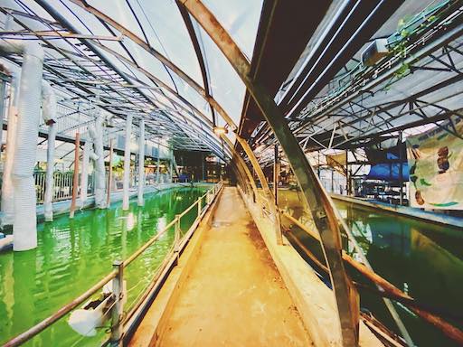 The Ecological Greenhouse | Kibbutz Ein Shemer