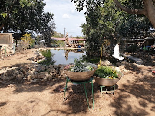 Petting Zoo | Kibbutz Gvaram