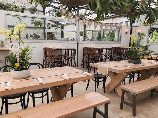Orchid Greenhouse Cafe | Kibbutz Maale Hahamisha