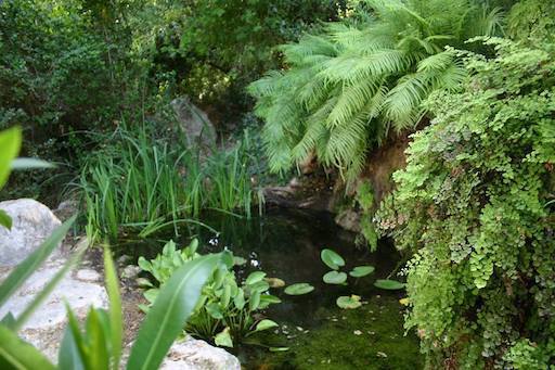 Botanic Garden | Kibbutz Netiv Halamed-He