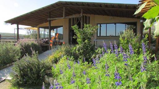 Vertigo Ecological Village | Kibbutz Netiv Halamed-He