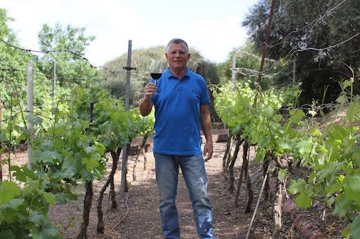 Papo's Art Gallery and Vineyard | Kibbutz Or Haner