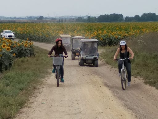 Idan Ofan Bicycle Rental and Tours | Kibbutz Revadim