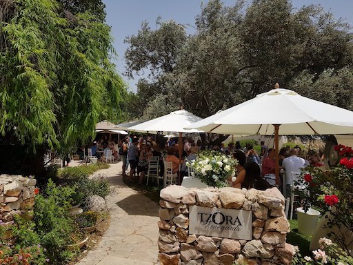 Tzora Winery | Kibbutz Tzora