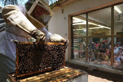 The Honey and Bee House | Kibbutz Yad Mordechai