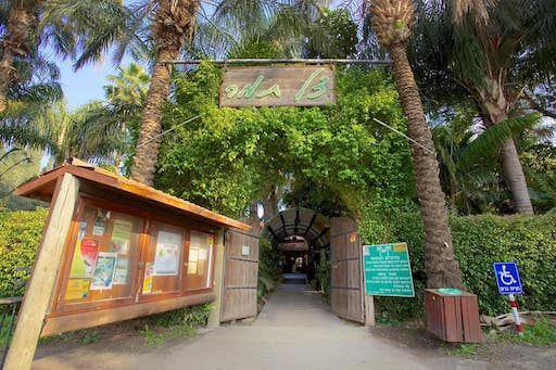 Tzel Tamar Restaurant - Visit Kibbutz Ashdot Yaakov Ihud in Israel