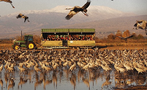 Safari Wagon Tours - Visit Kibbutz Ayelet Hashahar in Israel