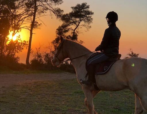 Horseback Riding and Ranch - Visit Kibbutz Beit Oren in Israel