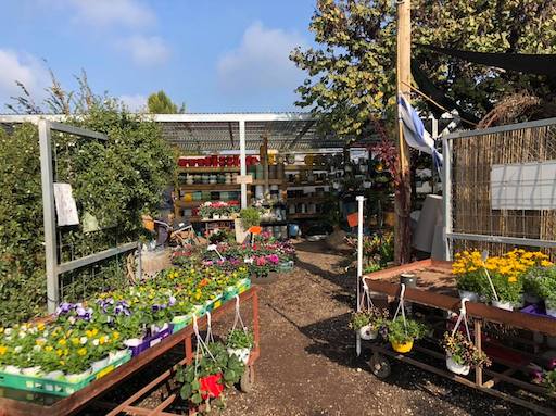 Plant Nursery - Visit Kibbutz Dafna in Israel