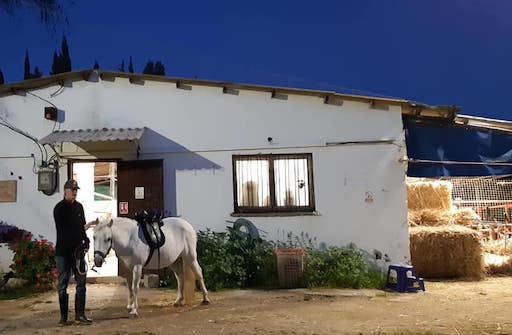 Stable and Horseback Riding Ranch - Visit Kibbutz Dalia in Israel